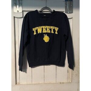 Six Flags Looney Toons Park Sweater Blue Tweety Small